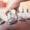 Menu icon